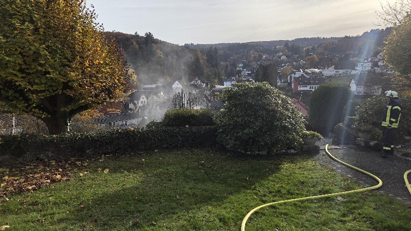 Einsatzfoto Heckenbrand